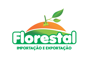 Losso Logística